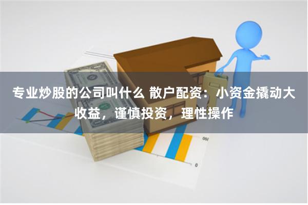 专业炒股的公司叫什么 散户配资：小资金撬动大收益，谨慎投资，理性操作