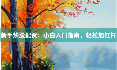 新手炒股配资：小白入门指南，轻松加杠杆