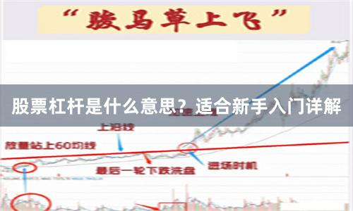 股票杠杆是什么意思？适合新手入门详解
