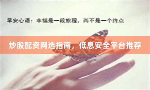 炒股配资网选指南，低息安全平台推荐